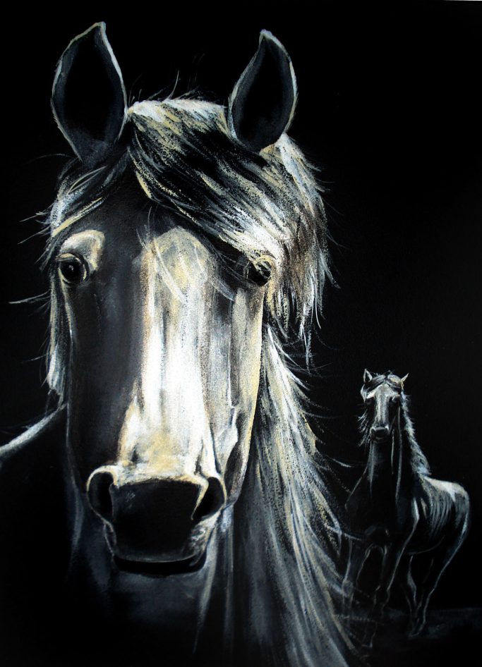 Tête de cheval avec une crinière fluente, arrière-plan sombre et silhouette d'un autre cheval.