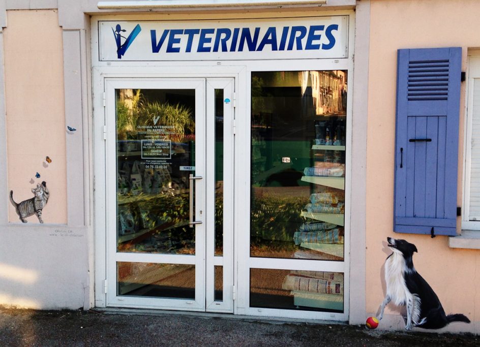 Trompe l’œil peint pour une clinique vétérinaire. Saint Genix-les-villages (73)
